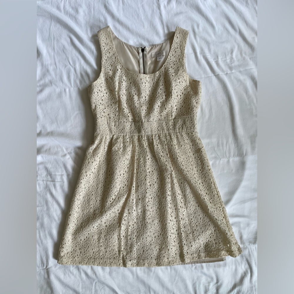 Ann Taylor LOFT Floral Lace Summer Dress Size 8P